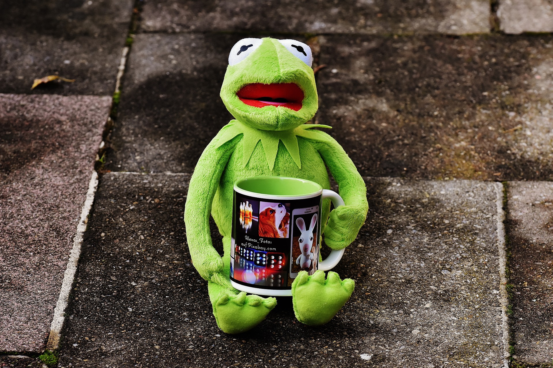 IS THE FROG BOILING?