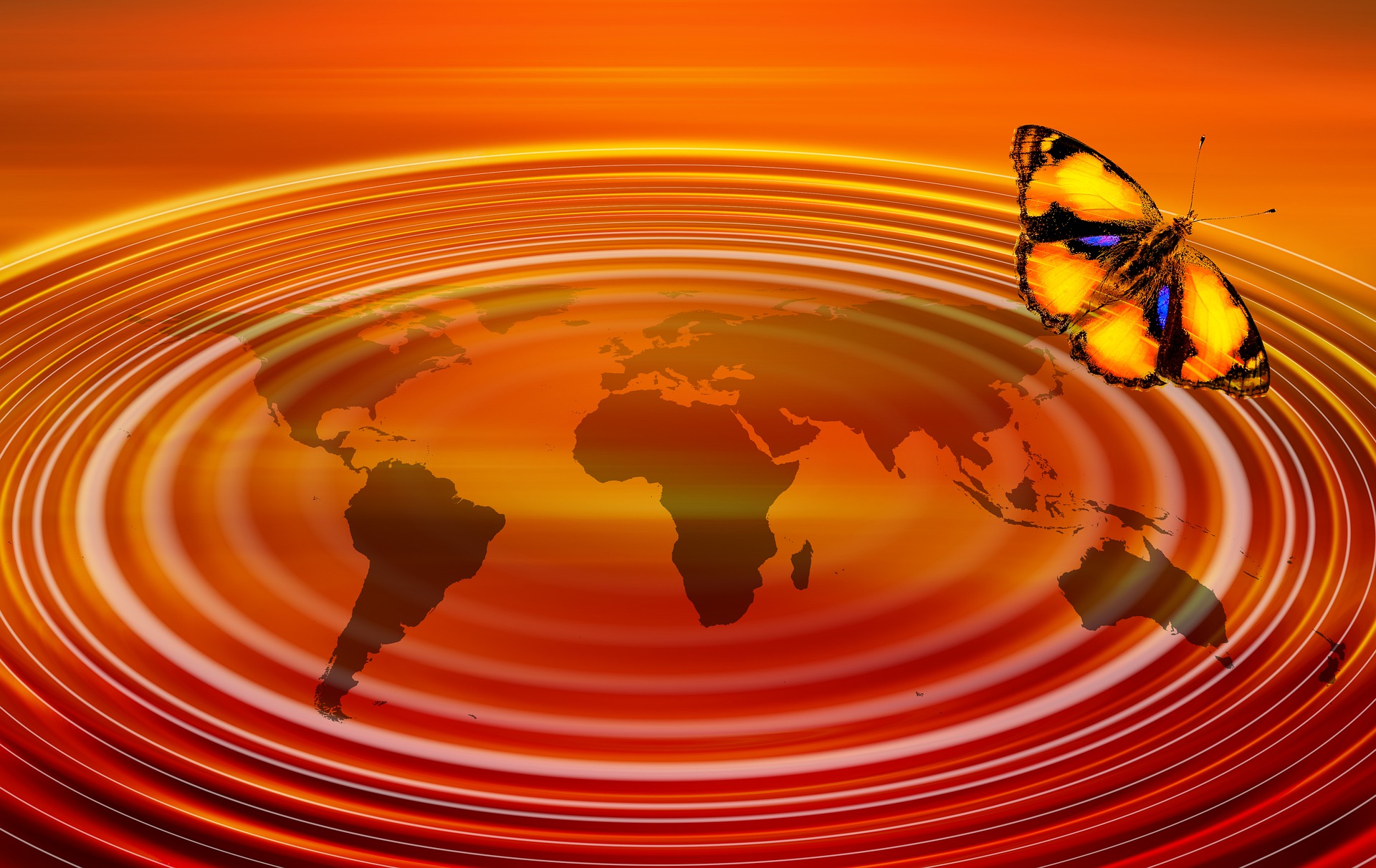 THE BUTTERFLY EFFECT