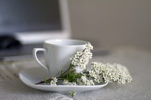 caffè e piccoli fiori bianchi.jpg