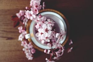 tazza e fiori di ciliegio.jpg